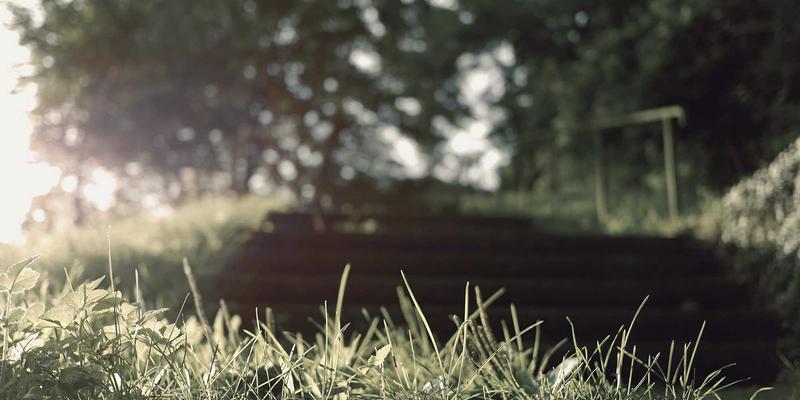 从L2到L3的跨越：2024年真正靠谱的智能驾驶车型深度评测与购车指南