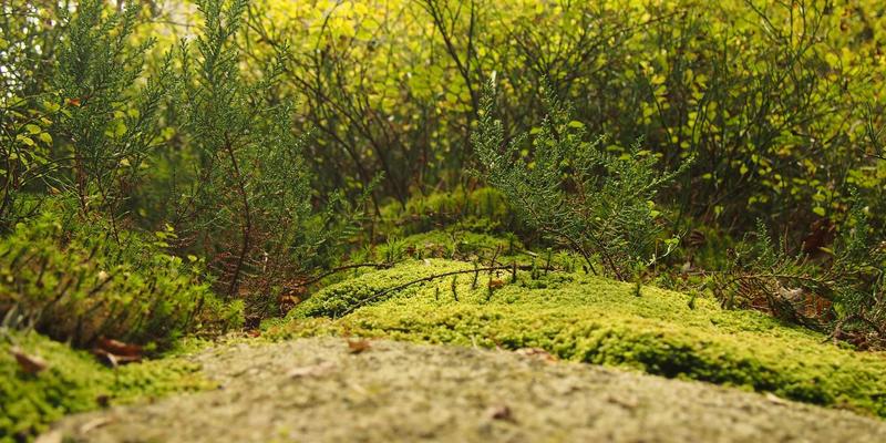 新手司机第一辆车怎么选？10-15万高性价比轿车购车全攻略